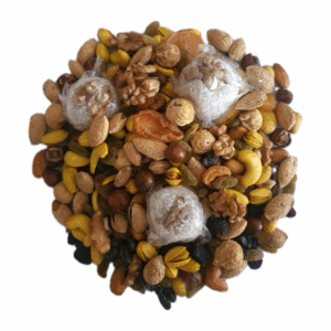 photo output 4 صفحه اصلی